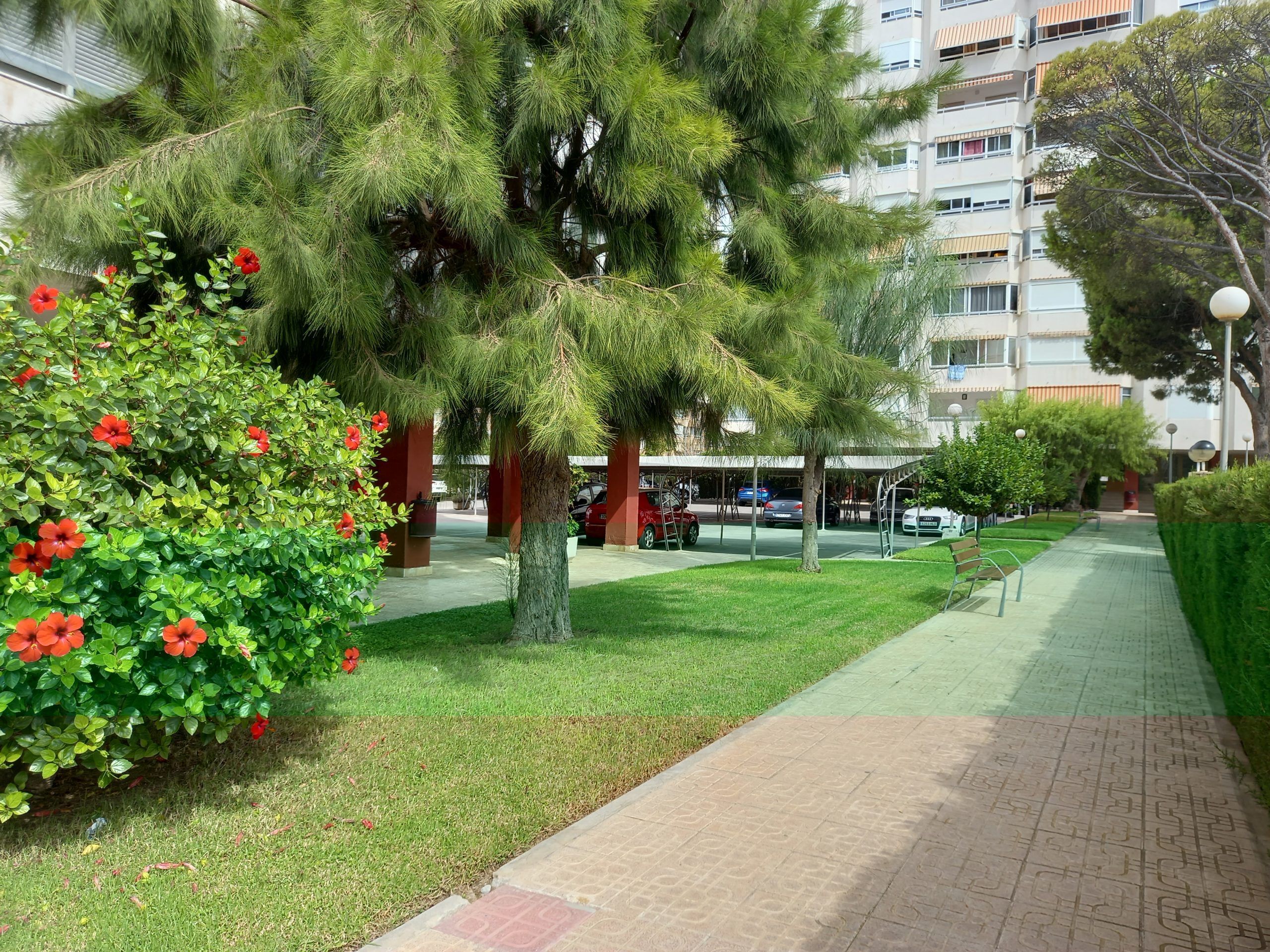 Apartment San Juan Beach Long term rental Spain Easy Moves Group SL.