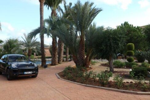 bcdp4891-image