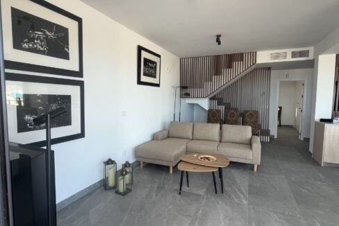 22913965-01-image-12
