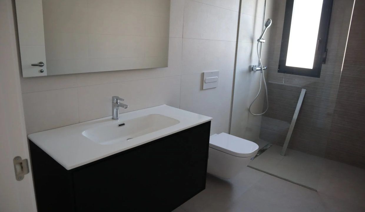 21333253-01-image-16