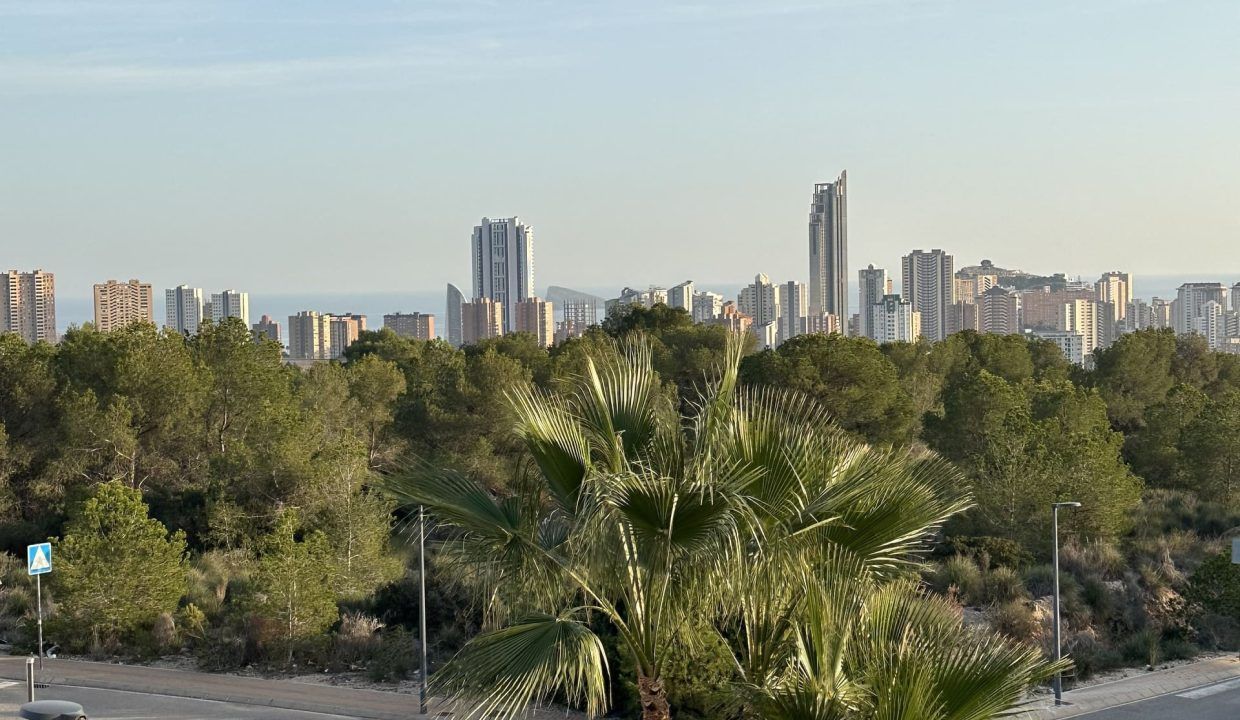 62564781-03-image-5