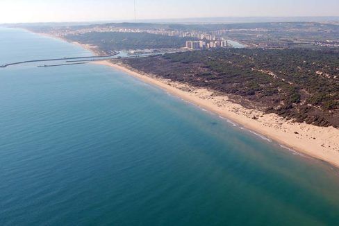 17401005-01-image-20